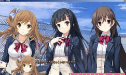 成年动漫,成熟魅力与成长故事