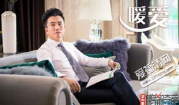 暖爱电视剧结局,结局揭秘，爱恨交织，命运终章揭晓